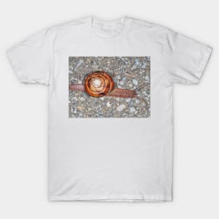 Pacific sideband snail (Monadenia fidelis) T-Shirt